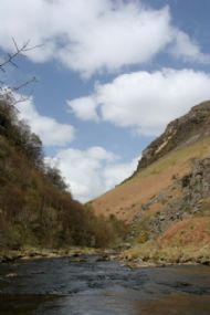 Dinas, Mid Wales